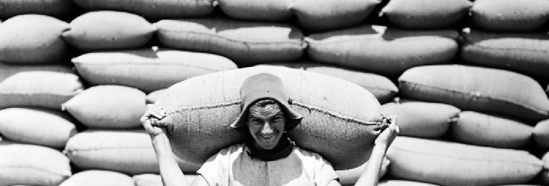 Wheathumper Black and white image of wheat carrier